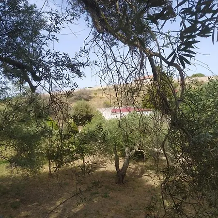Dom wakacyjny Casa Olea *