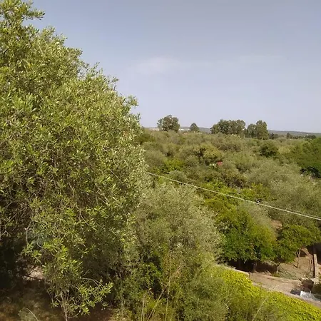 Casa vacanze Casa Olea *