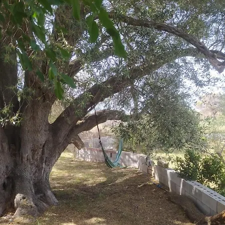 Casa Olea Vakantiehuis *