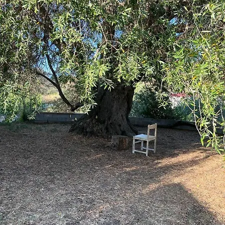 Casa Olea Vakantiehuis *