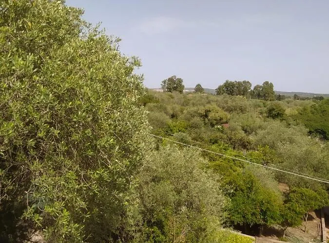 度假居 Casa Olea *