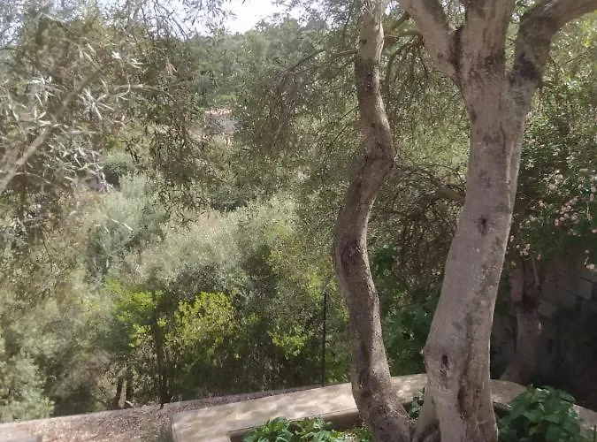 Casa Olea 度假居 索尔索