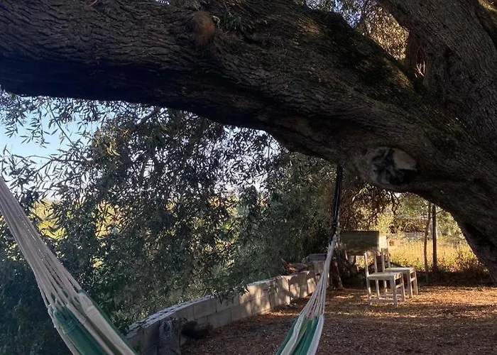 Casa Olea * 索尔索