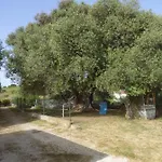 Casa Olea Sorso