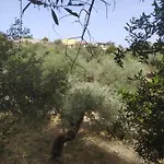 Casa Olea *