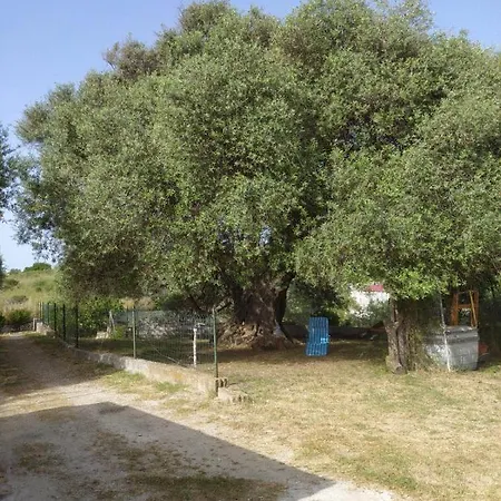 Casa Olea Sorso