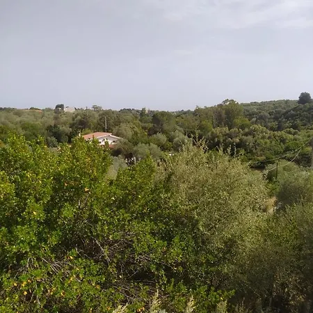 Casa Olea Ferienhaus *