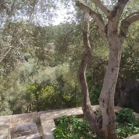 Casa Olea Ferienhaus Sorso