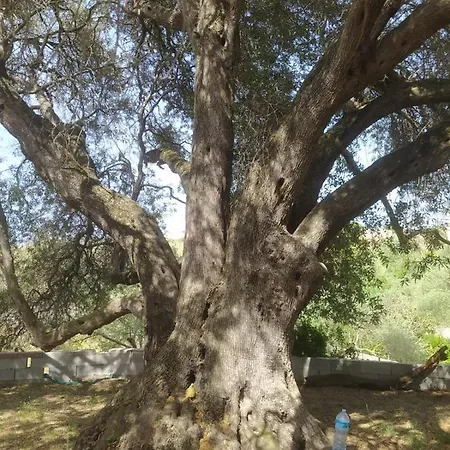 Casa Olea Ferienhaus *