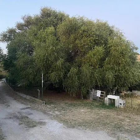 Casa Olea Prázdninový dům