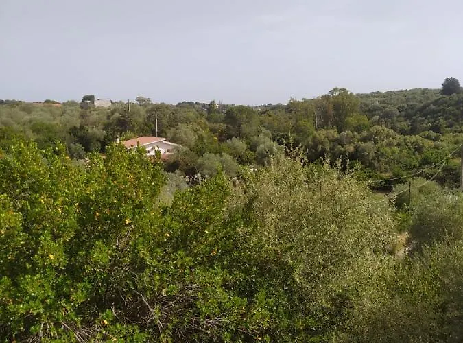 Casa Olea Nyaraló *